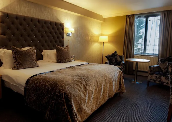 Park By Radisson Airport Шеннон